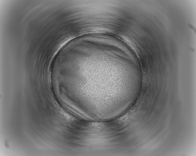 X0000097770835200803211735