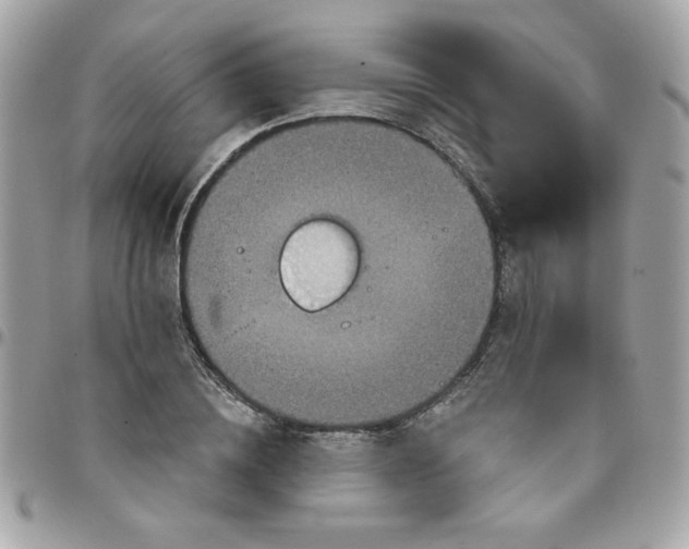 X0000097770836200803211735