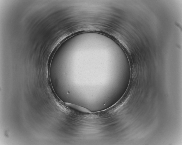 X0000097770837200803211735