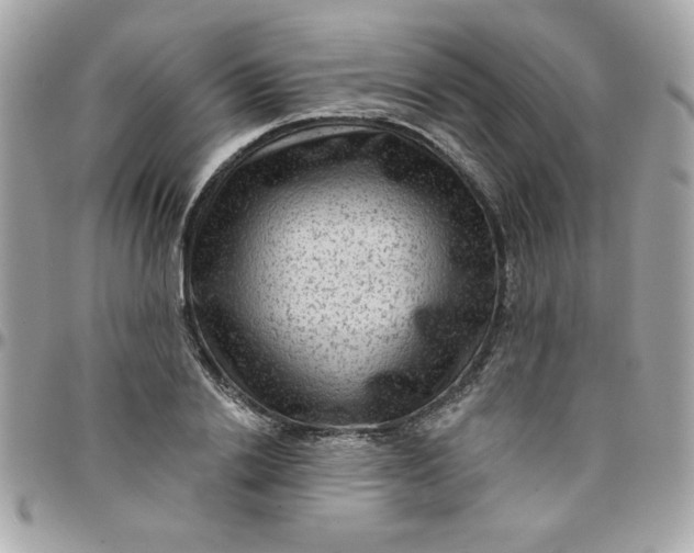 X0000097770838200803211735