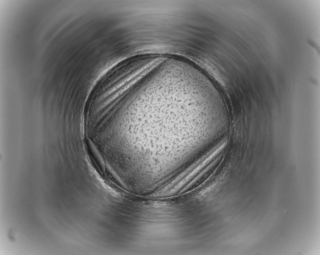 X0000097770839200803211735