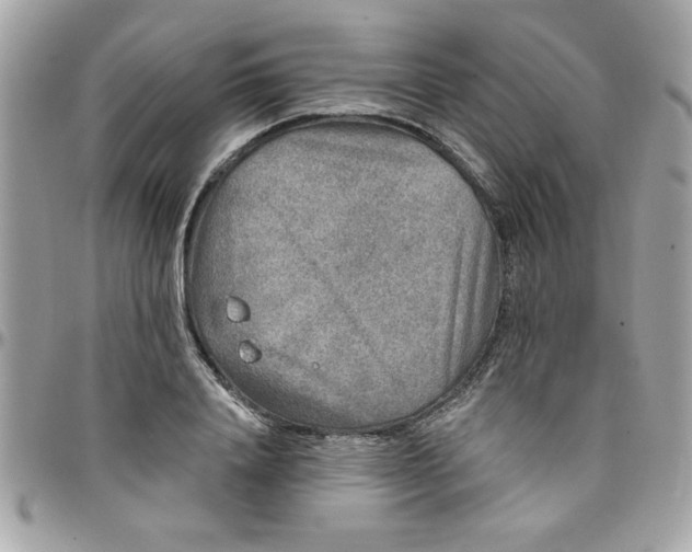 X0000097770840200803211735