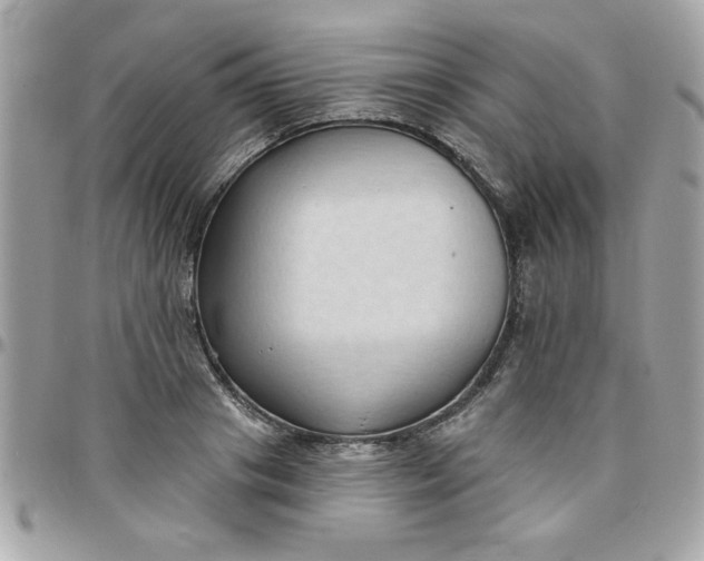 X0000097770841200803211735