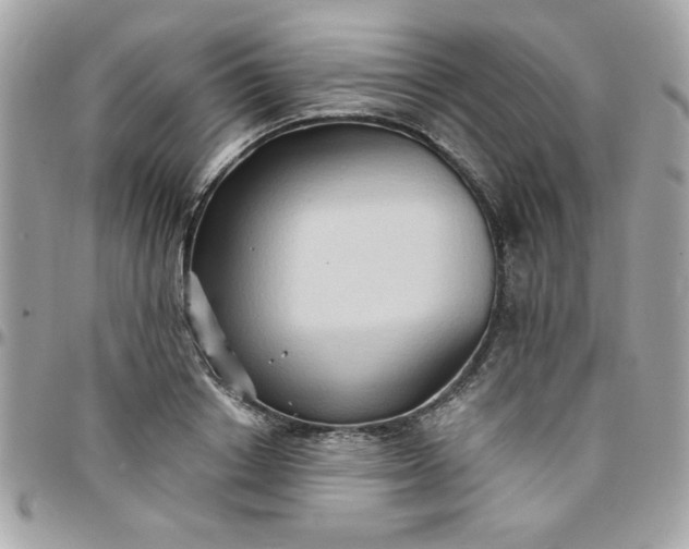 X0000097770842200803211735