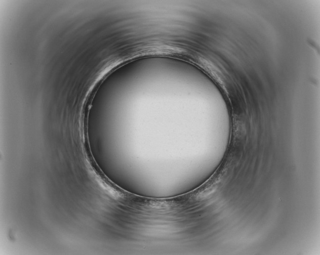 X0000097770843200803211735