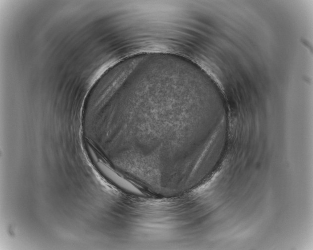 X0000097770845200803211735