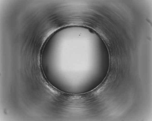 X0000097770846200803211735