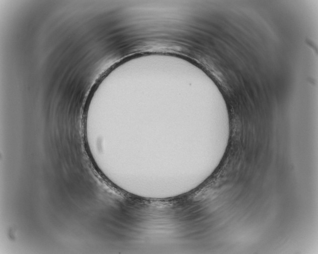 X0000097770848200803211735