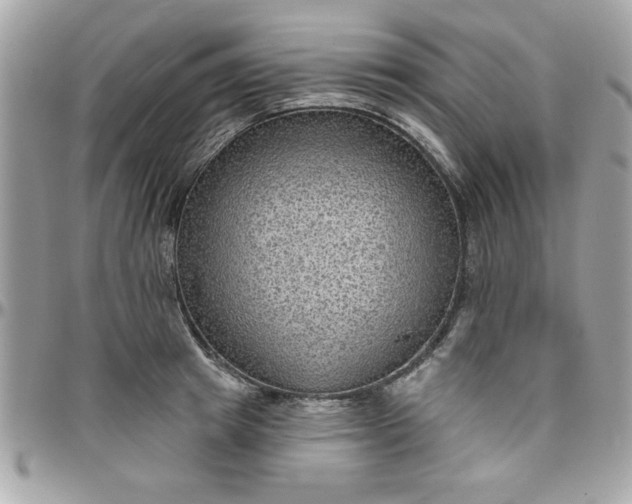 X0000097770849200803211735