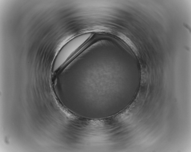 X0000097770850200803211735