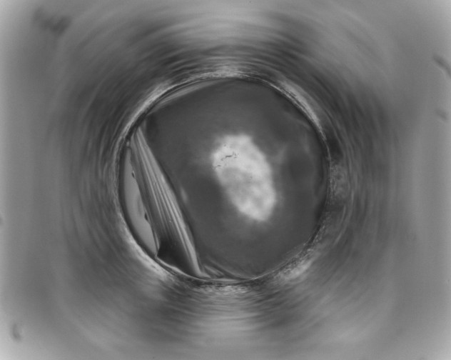 X0000097770851200803211735