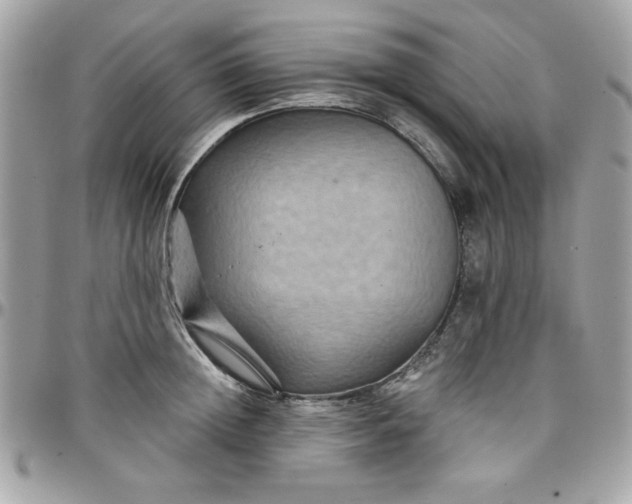 X0000097770852200803211735