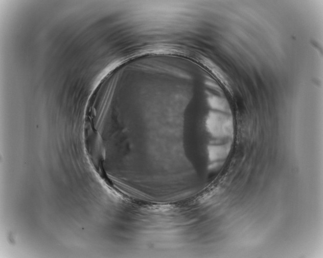 X0000097770853200803211735