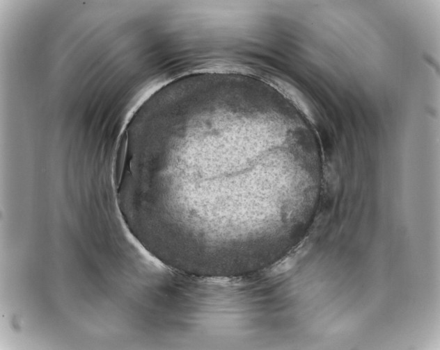 X0000097770855200803211735