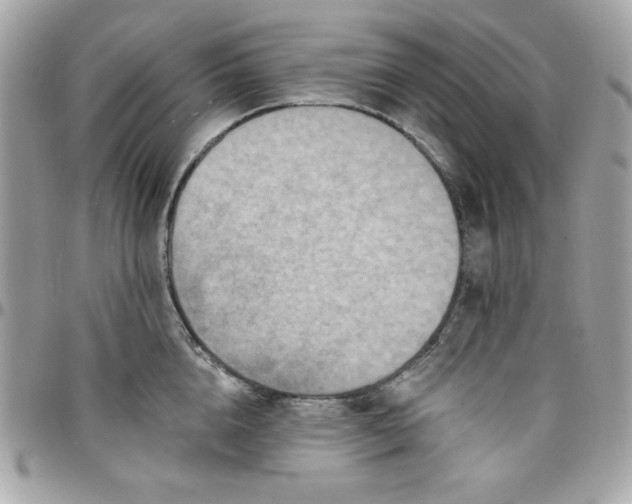 X0000097770856200803211735