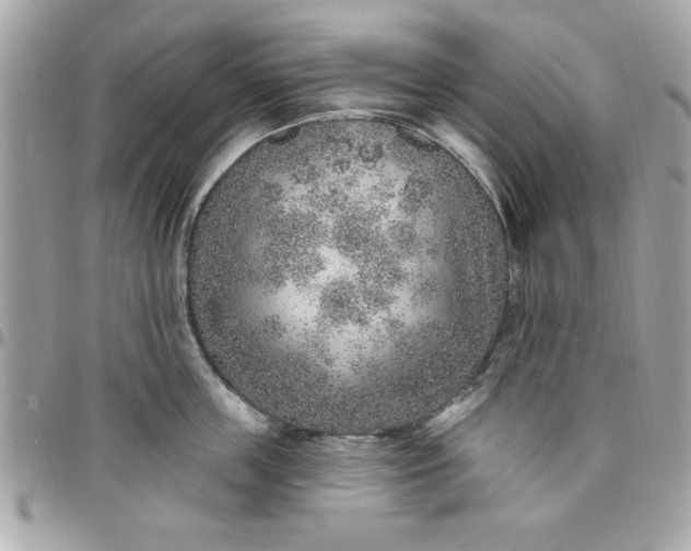 X0000097770859200803211735