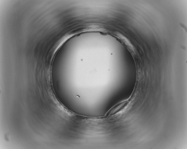 X0000097770860200803211735