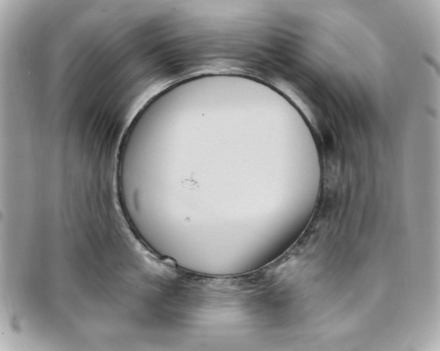 X0000097770861200803211735