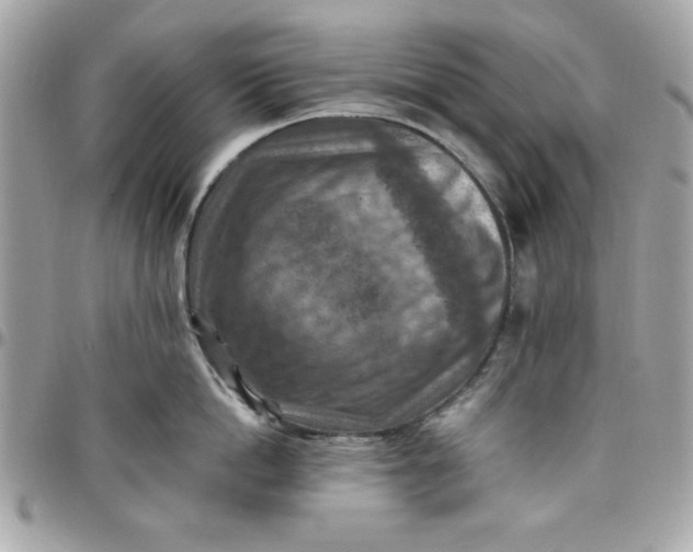 X0000097770862200803211735