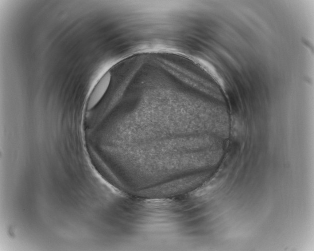 X0000097770863200803211735