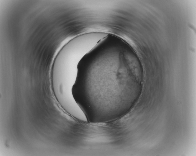 X0000097770864200803211735