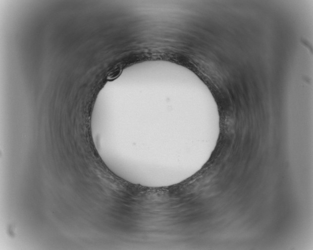 X0000097770865200803211734