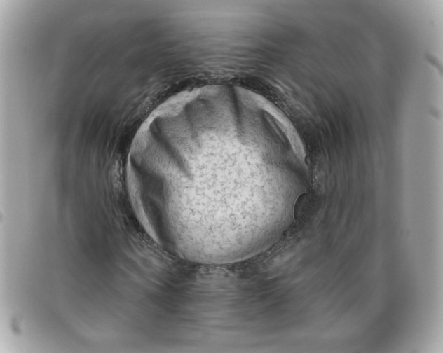 X0000097770866200803211734