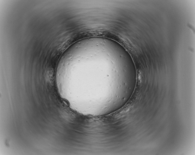 X0000097770867200803211734