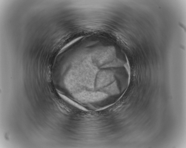 X0000097770868200803211734