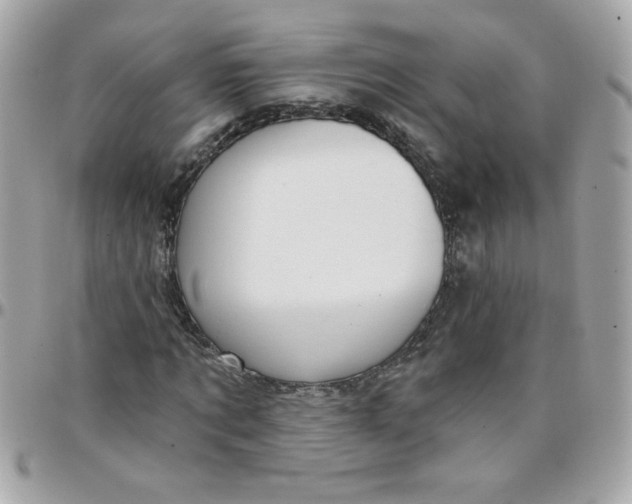 X0000097770869200803211734