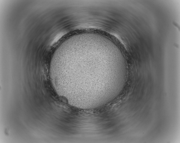 X0000097770871200803211734