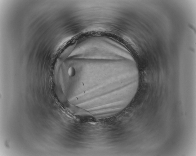 X0000097770872200803211734