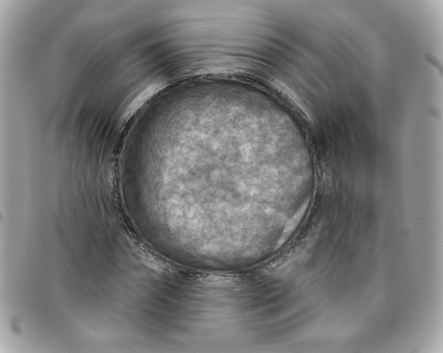 X0000097770874200803211734