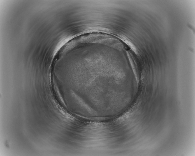 X0000097770877200803211734