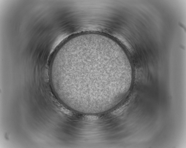 X0000097770878200803211734