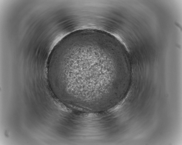 X0000097770879200803211734