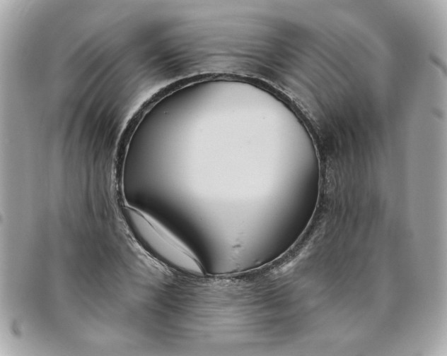 X0000097770880200803211734