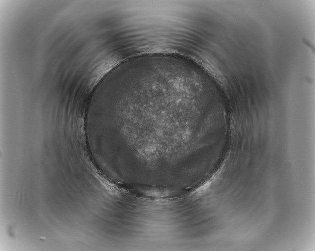 X0000097770881200803211734