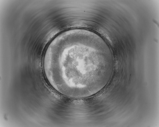 X0000097770882200803211734