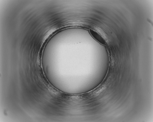 X0000097770883200803211734