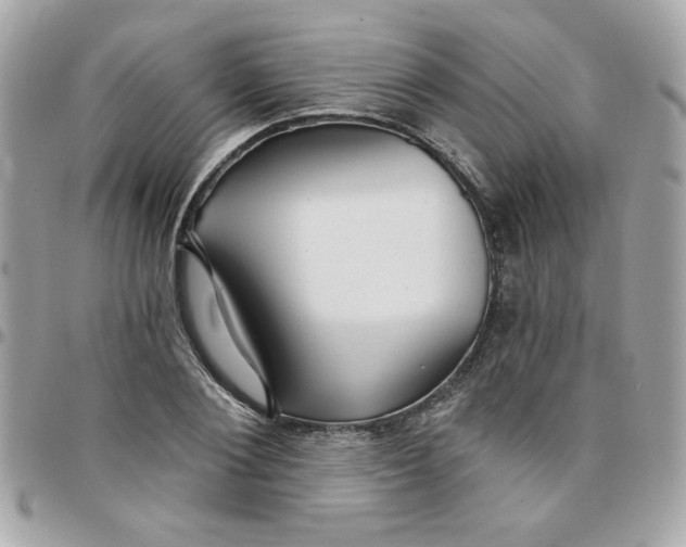 X0000097770884200803211734