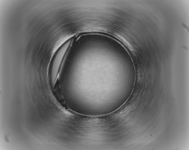 X0000097770885200803211734