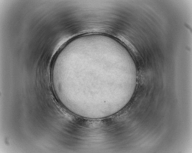 X0000097770886200803211734