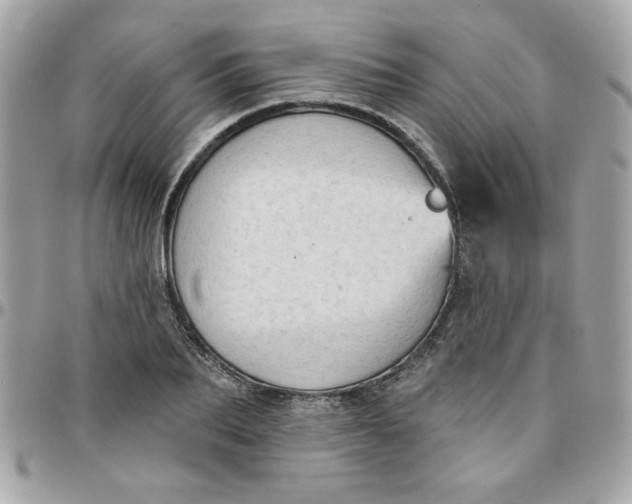 X0000097770887200803211734