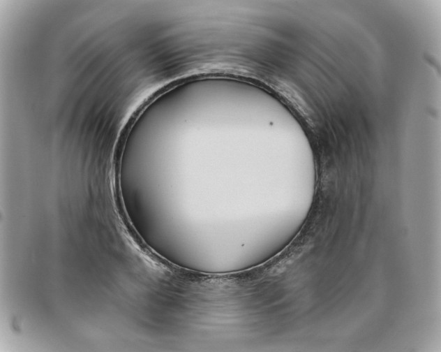 X0000097770888200803211734