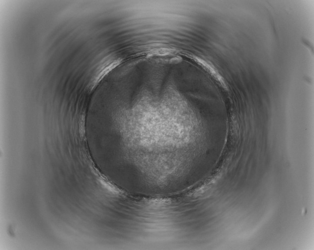 X0000097770889200803211734