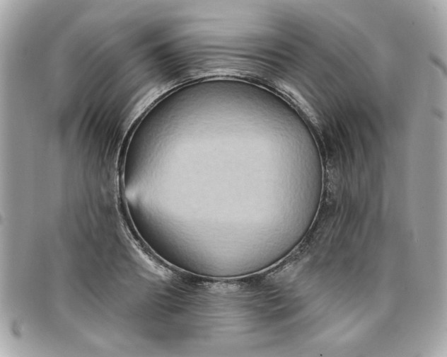 X0000097770890200803211734