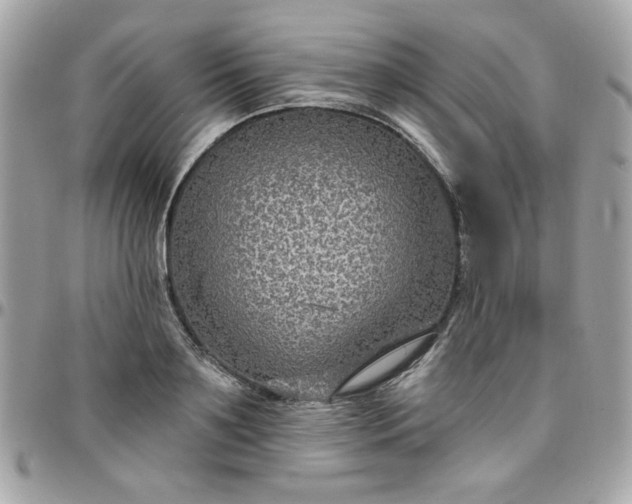 X0000097770891200803211734