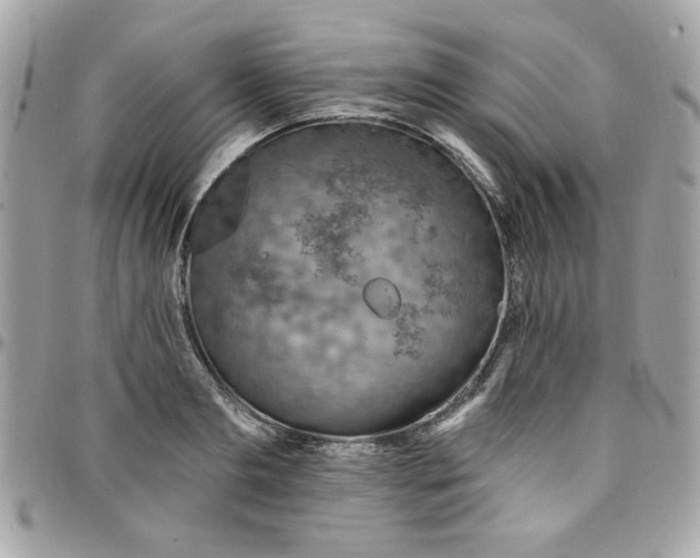 X0000097770893200803211734