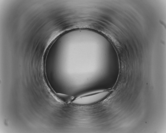 X0000097770894200803211734